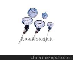 【超強(qiáng)防腐316材WSS-501F雙金屬溫度計(jì)】?jī)r(jià)格,廠家,圖片,溫度計(jì),武強(qiáng)縣精創(chuàng)儀器儀表廠(銷售公司)-
